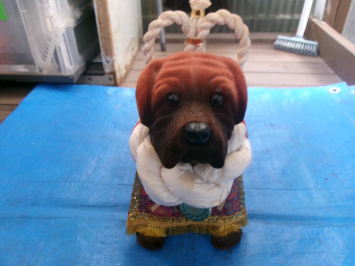 土佐犬置物 専用 陶器 大型 土佐犬 置物 闘犬 ヴィンテージ 戌 - メルカリ