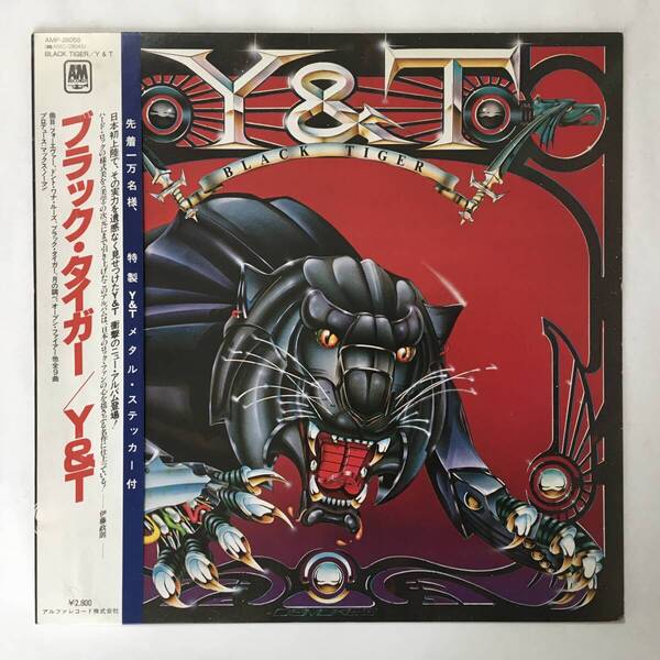 PROMO Y&T BLACK TIGER