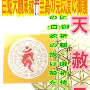 梵字 フトマニ図 龍体文字 酉 悉曇文字 不動明王 白蛇の抜け殻 神代文字 真言 種字 脱け殻 白蛇のお守り【天赦日ご祈祷済み】11