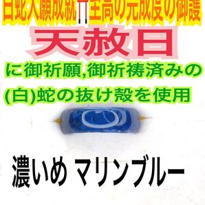 1個≪対応サイズ:3号~27号≫第6チャクラ リング 脱け殻 指輪お守り【天赦日ご祈祷】メモリーオイル 御神環 白蛇の抜け殻 財布 24