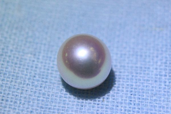 スーパーセール 半額 2025年最新】Yahoo!オークション - 真珠(裸石、ルース 真珠