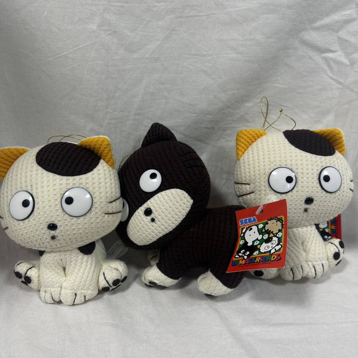 2025年最新】Yahoo!オークション -タマ&フレンズ ぬいぐるみの