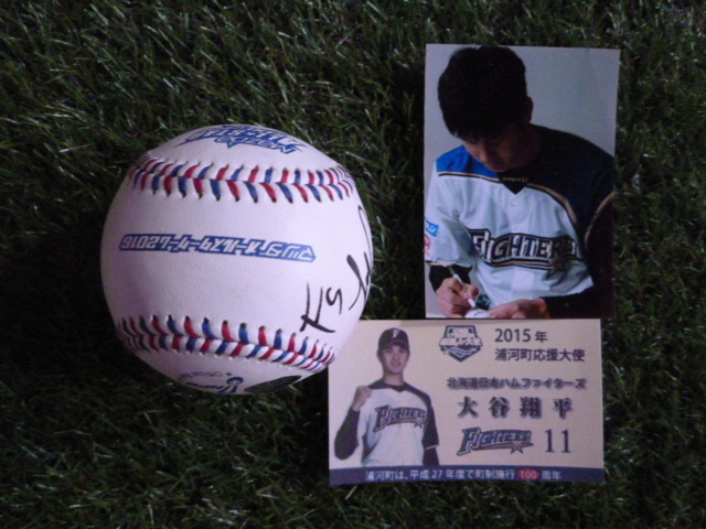 大谷翔平 直筆サインボール 2016年 日本シリーズ 試合球