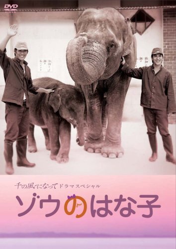 2025年最新】Yahoo!オークション -はな子の中古品・新品・未使用