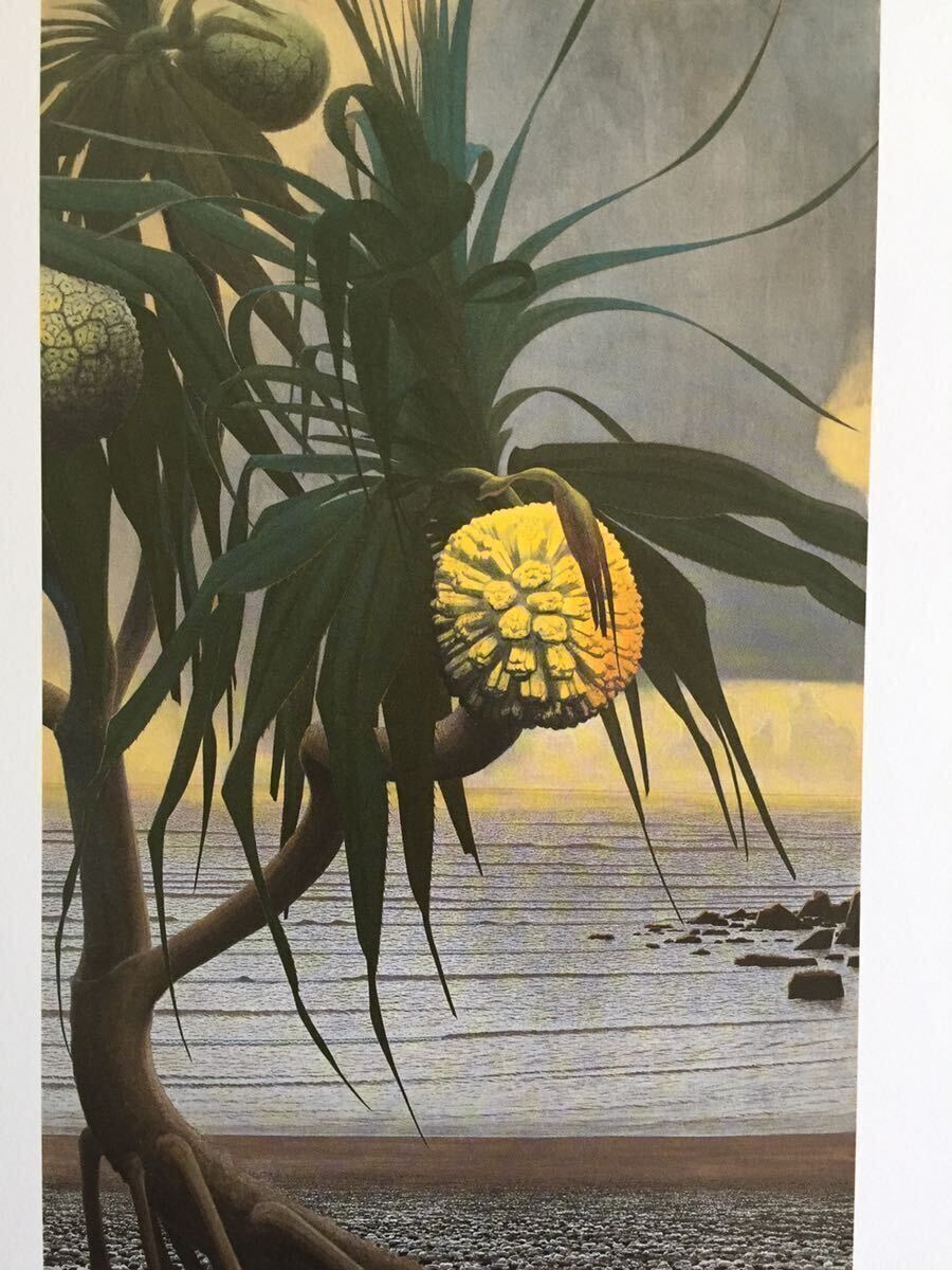 2025年最新】Yahoo!オークション -絵画 田中一村の中古品・新品 2025年最新】Yahoo!オークション -絵画 田中一村の中古品・新品