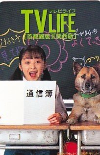 2025年最新】Yahoo!オークション -家なき子 安達祐実(テレホン