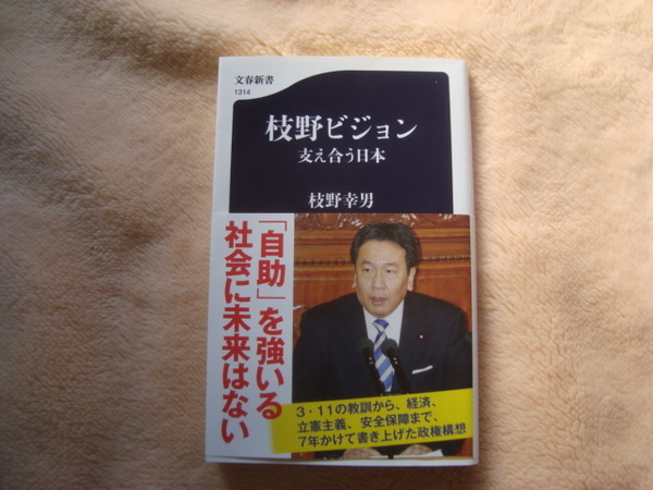 枝野ビジョン 支え合う日本 枝野幸男著 文春新書