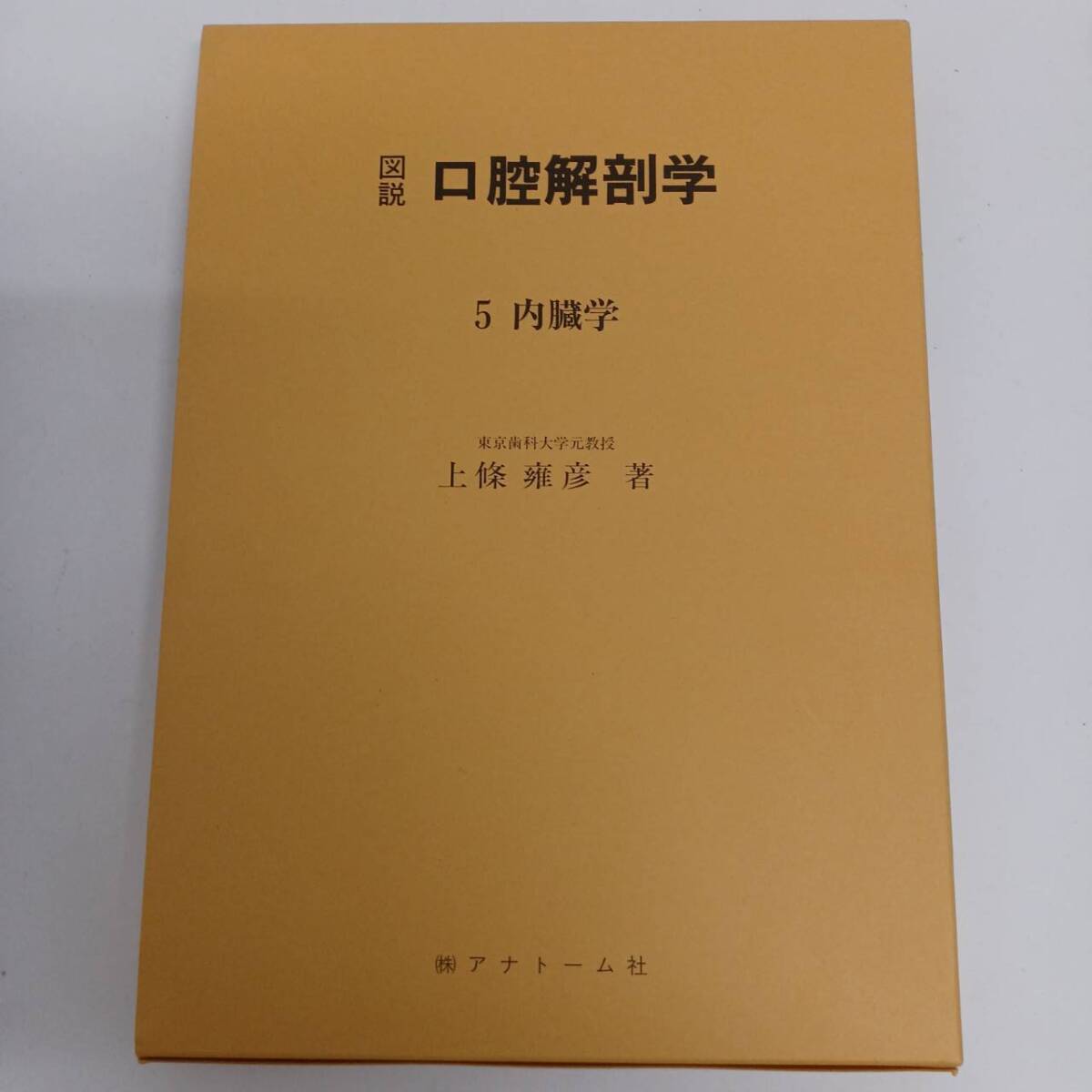 2025年最新】Yahoo!オークション -口腔解剖学の中古品・新品・未