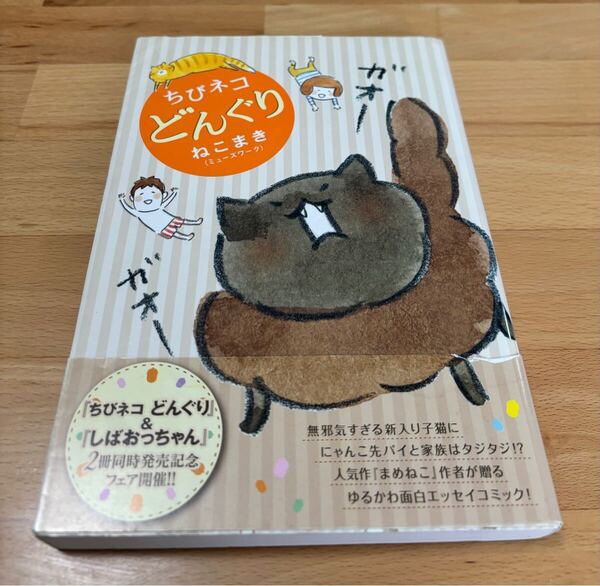 ちびネコどんぐり ねこまき