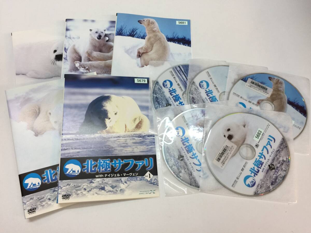 2025年最新】Yahoo!オークション -ナイジェル・マーヴェンの中古