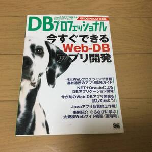 DBプロフェッショナル WEB-DB