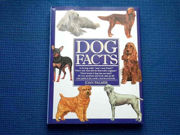 洋書 Dog Facts 犬の事実 犬 犬種 生態 英語
