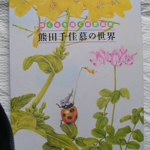 5910【500円+送料850円】朝日新聞額絵「熊田千佳慕の世界」(全24枚の内20枚のみ) 2009~10年に配布