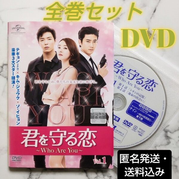 キム・ジェウク★テギョン★ソ・イヒョン『君を守る恋~Who Are You~』レンタル落ちDVD★全巻★韓国ドラマ