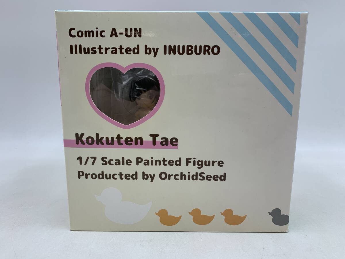 オーキッドシード 国天妙 illustrated by いぬぶろ 1/7｜フィギュア