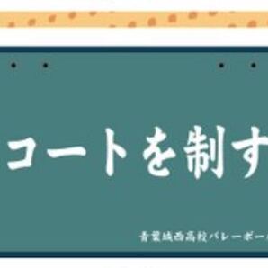 19499812 ブランケット 青葉城西高校 ドンキ ハイキュー レディース ファッション 寝具 防寒 ひざかけ 肩掛け 腰巻き 横断幕MWT