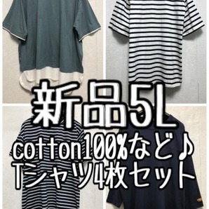 新品☆5L♪Tシャツ4枚セット♪重ね着風やコットン100%も♪☆a812