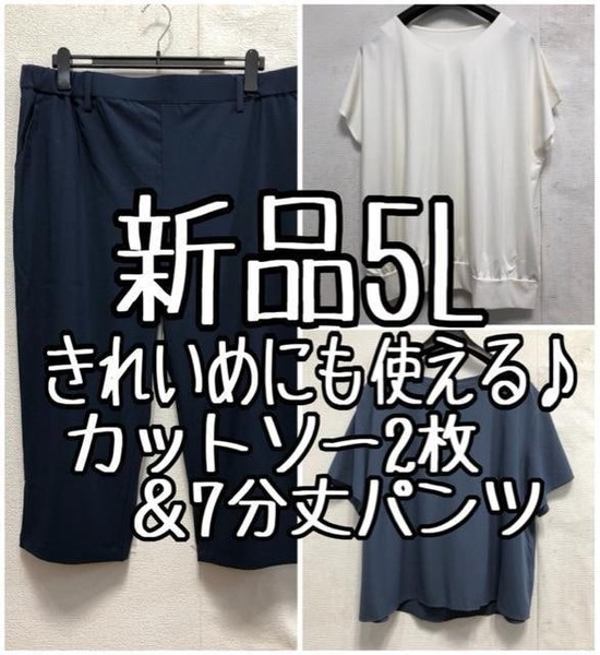 新品☆5L♪きれいめに使える3点セット♪カットソー2枚&7分丈うす手パンツ☆x244