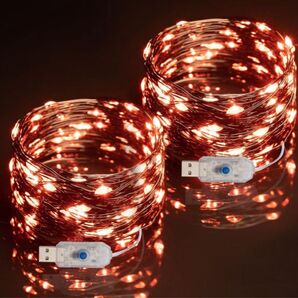 Cardenvy USB給電 ストリングライト フェアリーライト 33フィート イルミネーションライト 飾り付け 2個セット