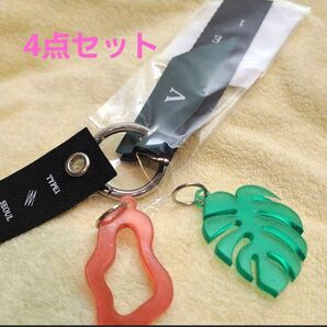 v type1 キーリング セット ①