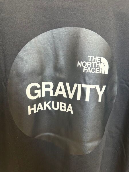 THE NORTH FACE Tシャツ 白馬店限定商品