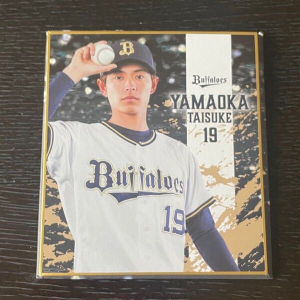 オリックス・バファローズ シークレットミニ色紙 山岡泰輔