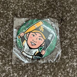 福岡ソフトバンクホークス 渡邉陸 缶バッジ