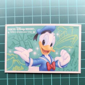 東京ディズニーリゾート パークチケット使用済み ドナルド