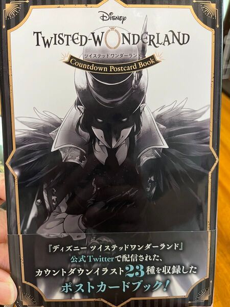 ツイステッドワンダーランド ポストカードブック ツイステッドワンダーランドアンソロジーNo.1のセット売りです。