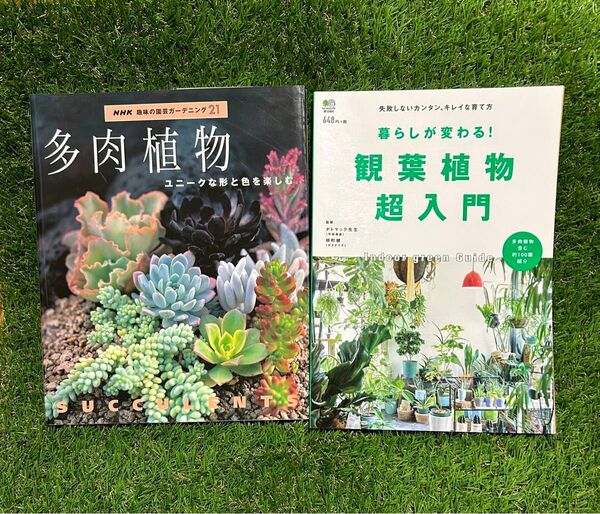 多肉植物の本 観葉植物超入門 2冊セット ユーズド品