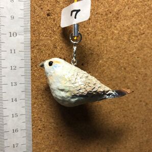 胡桃の殻で変身 森の仲間たち鳥になる ストラップ