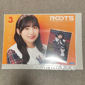 アンジュルム 2024 秋ツアー コレ写 ピンポス 伊勢鈴蘭