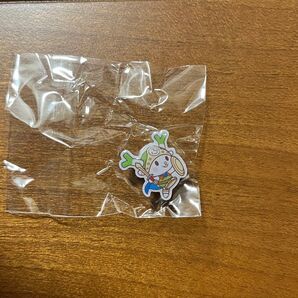 ふっかちゃんピンズ 第二弾 (勇者風)