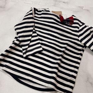 NEXT トップス ボーダー柄 60