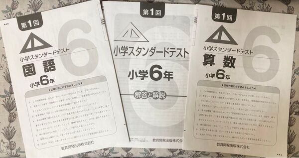 早稲田アカデミー 小学スタンダードテスト第一回 小学6年生 算数 国語