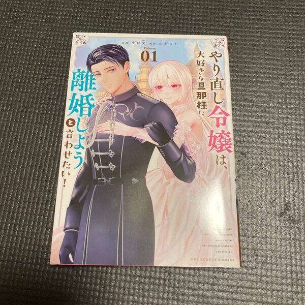 やり直し令嬢は 大好きな旦那様に 離婚しようと言わせたい!