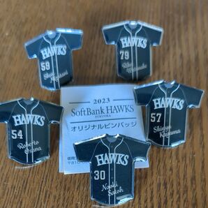 ソフトバンクホークス2023オリジナルピンバッジ5種 30佐藤選手、54オスナ投手、57嘉弥真投手、59水谷選手、79渡邉選手