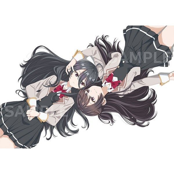 時々ボソッとロシア語でデレる隣のアーリャさん ソフマップ限定版特典 アニメ描き下ろし WスエードB2タペストリー 有希&綾乃