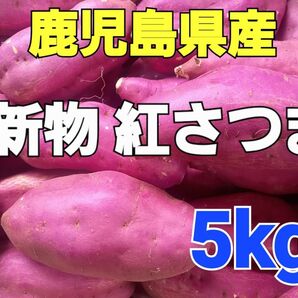 おすすめ新物さつまいも!【鹿児島県産】新物紅さつま M~2Lサイズ5kg以上