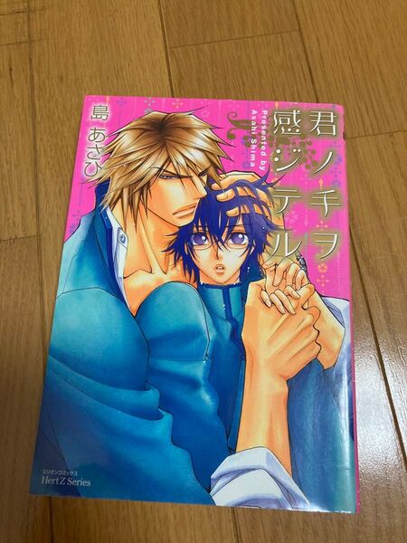 君ノ手ヲ感ジテル blコミック