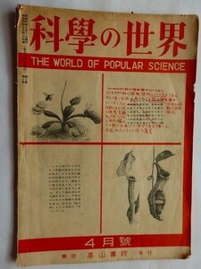 . blue boy therefore. science. world /.. power . after this. world / Showa era 21 year / old book 