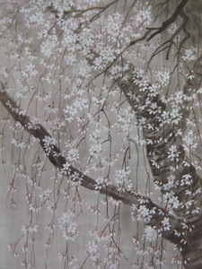 Art hand Auction Kaneko Momohime, [Abendkirschblüten], Aus einer seltenen Sammlung von Rahmenkunst, Schönheitsprodukte, Neuer Rahmen inklusive, Innere, Frühling, Kirschblüten, Malerei, Ölgemälde, Natur, Landschaftsmalerei