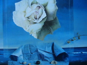 塩崎敬子【白いバラ、薔薇】希少画集画、状態良好、新品高級額装付、送料無料、洋画 油彩 風景、zero