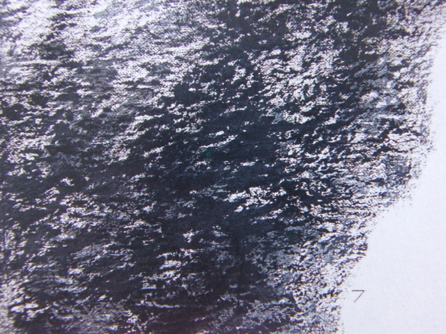 Fukushi Hooseki, [Togu Sakuragi], Extrait d'un rare livre d'art encadré, Produits de beauté, Tout neuf avec cadre, intérieur, printemps, fleurs de cerisier, peinture, peinture à l'huile, Nature, Peinture de paysage