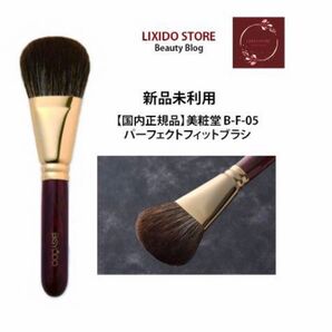 新品 B-F-05 パーフェクトフィットブラシ(扇型)