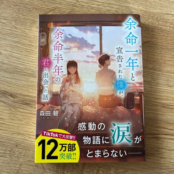 余命一年と宣告された僕が、余命半年の君と出会った話