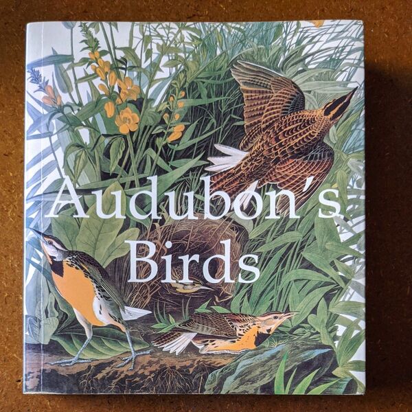 Audubon's Birds 9781840139426 Grange Books Plc オーデュボン 鳥 絵