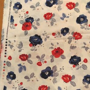 USA ライリーブレイク LIBERTY 薔薇 アイボリー 1m ポーチ バッグ