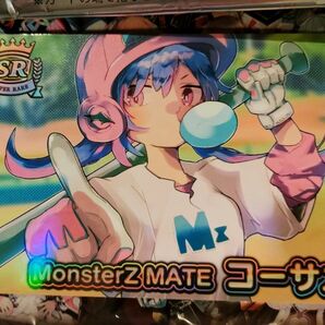Vtuberチップス コーサカ SR