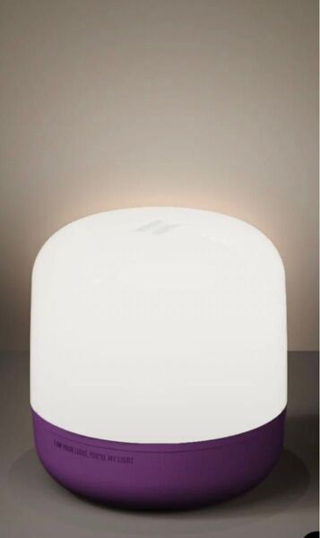 さらにお値下げ!【未使用】BTS MUSIC BOX LIGHT ファンクラブ限定品